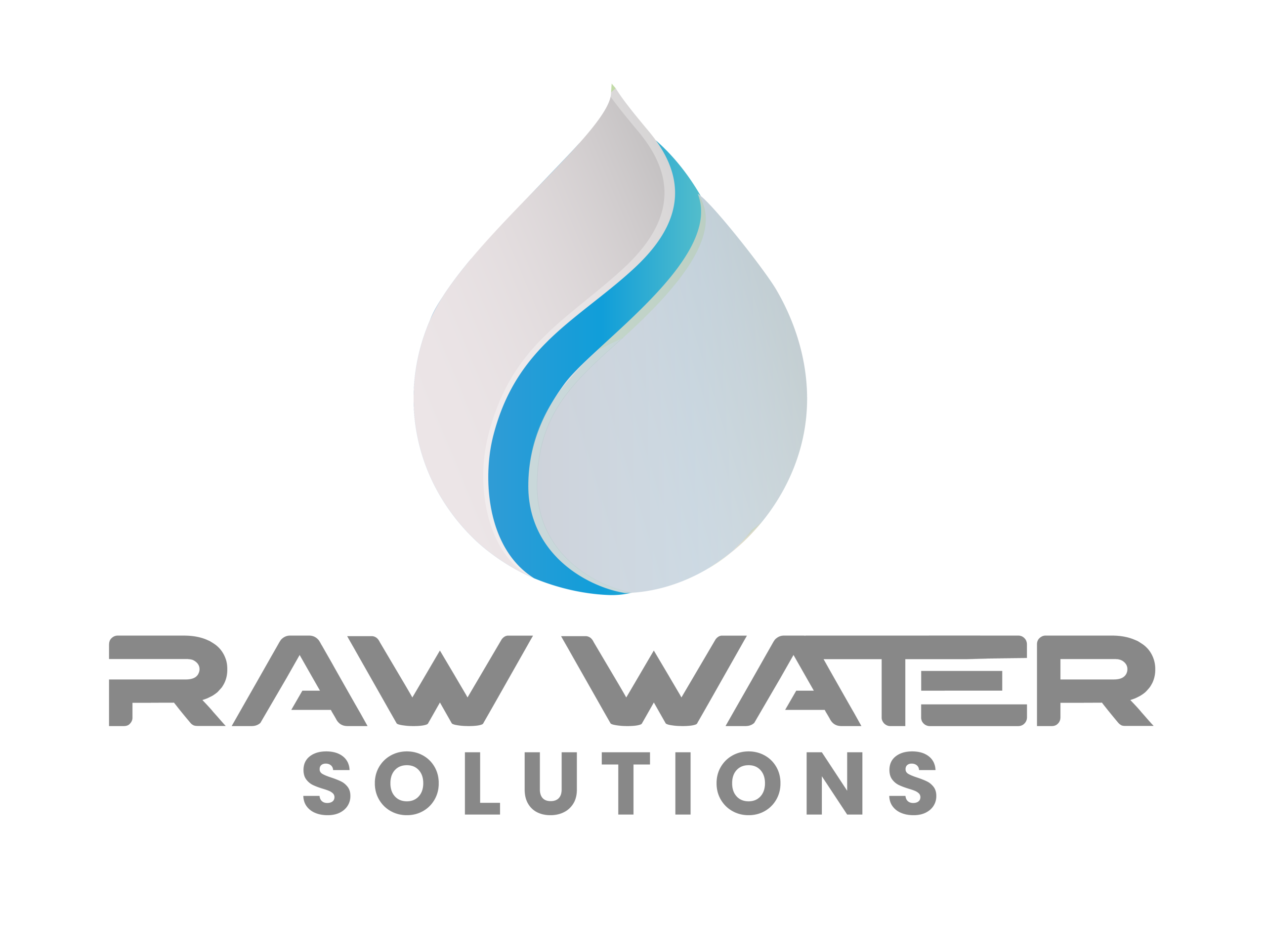 Raw Water Solutions Logo